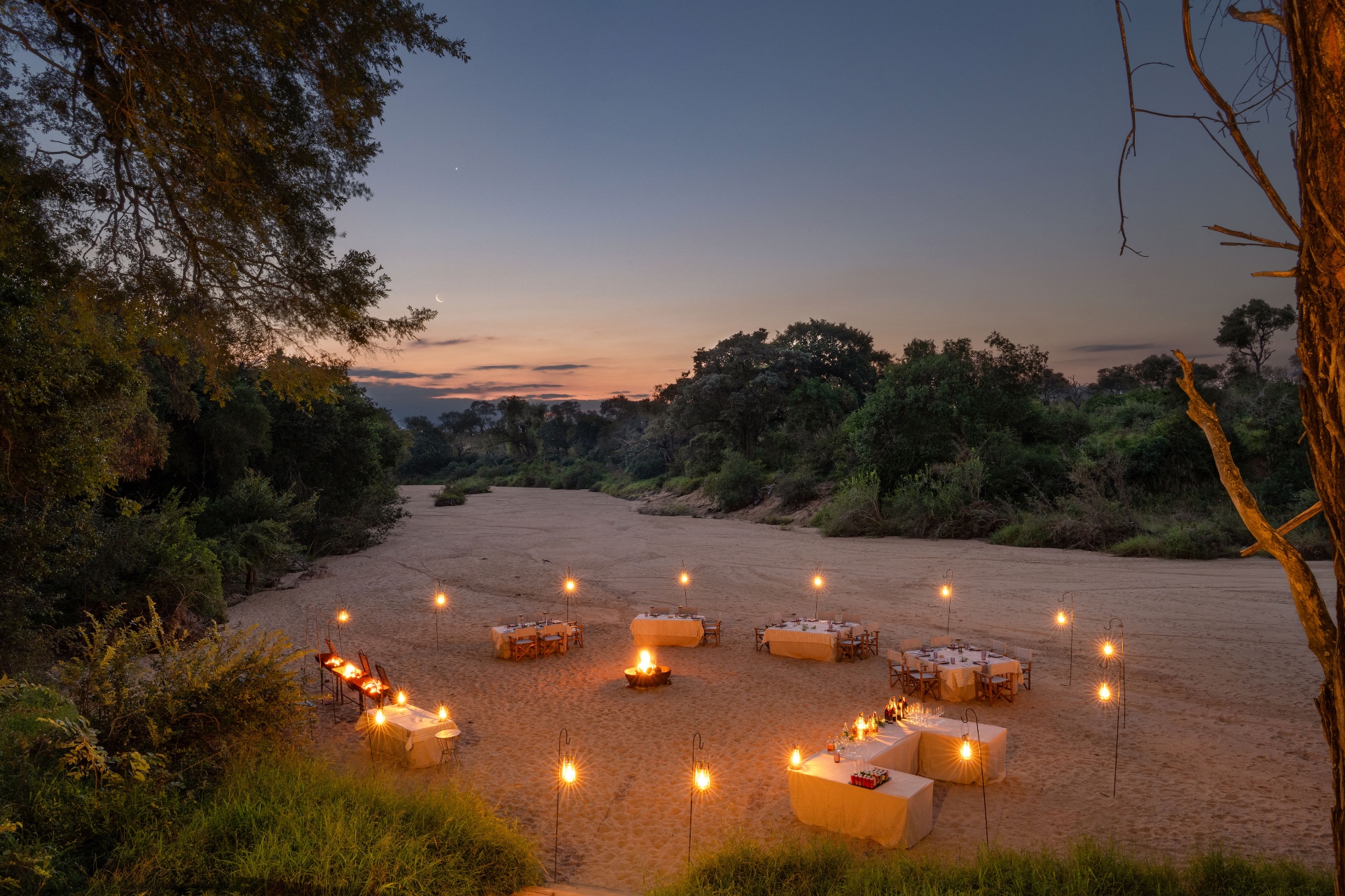 Thornybush