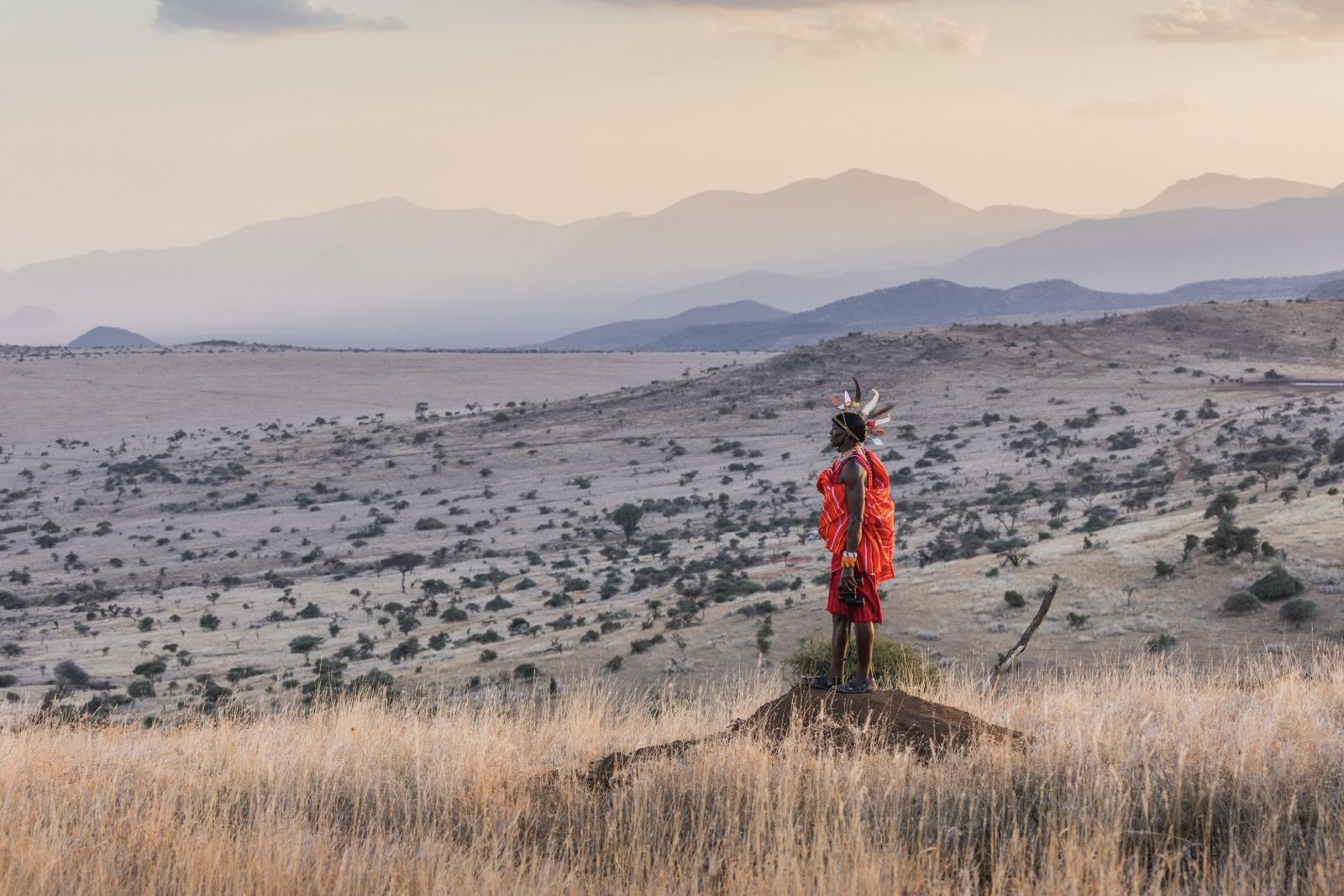 Africa landscape
